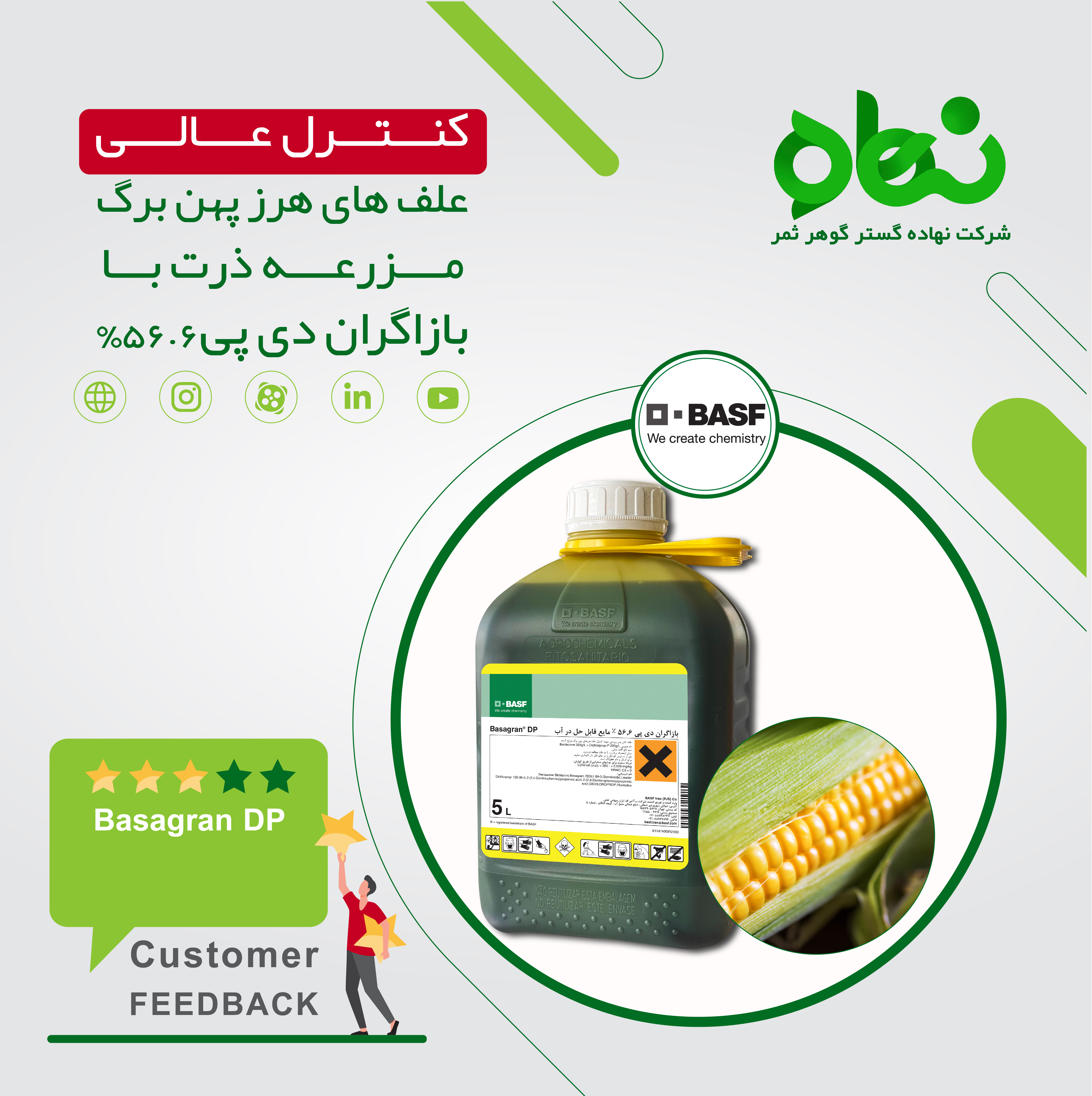  کنترل عالی علف های هرز پهن برگ مزرعه ذرت با بازاگران دی پی 